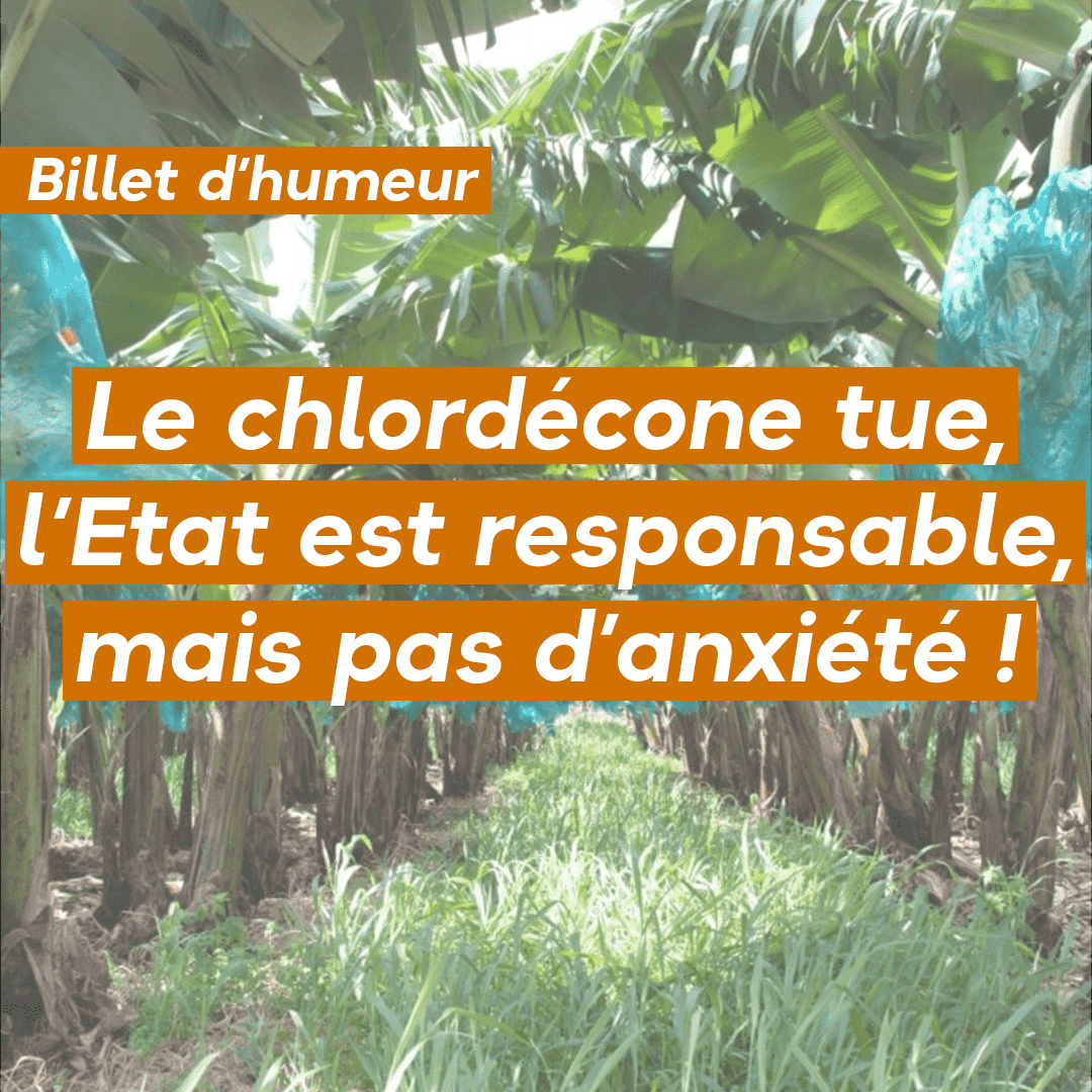Le chlordécone tue, l’Etat est responsable, mais pas d’anxiété !