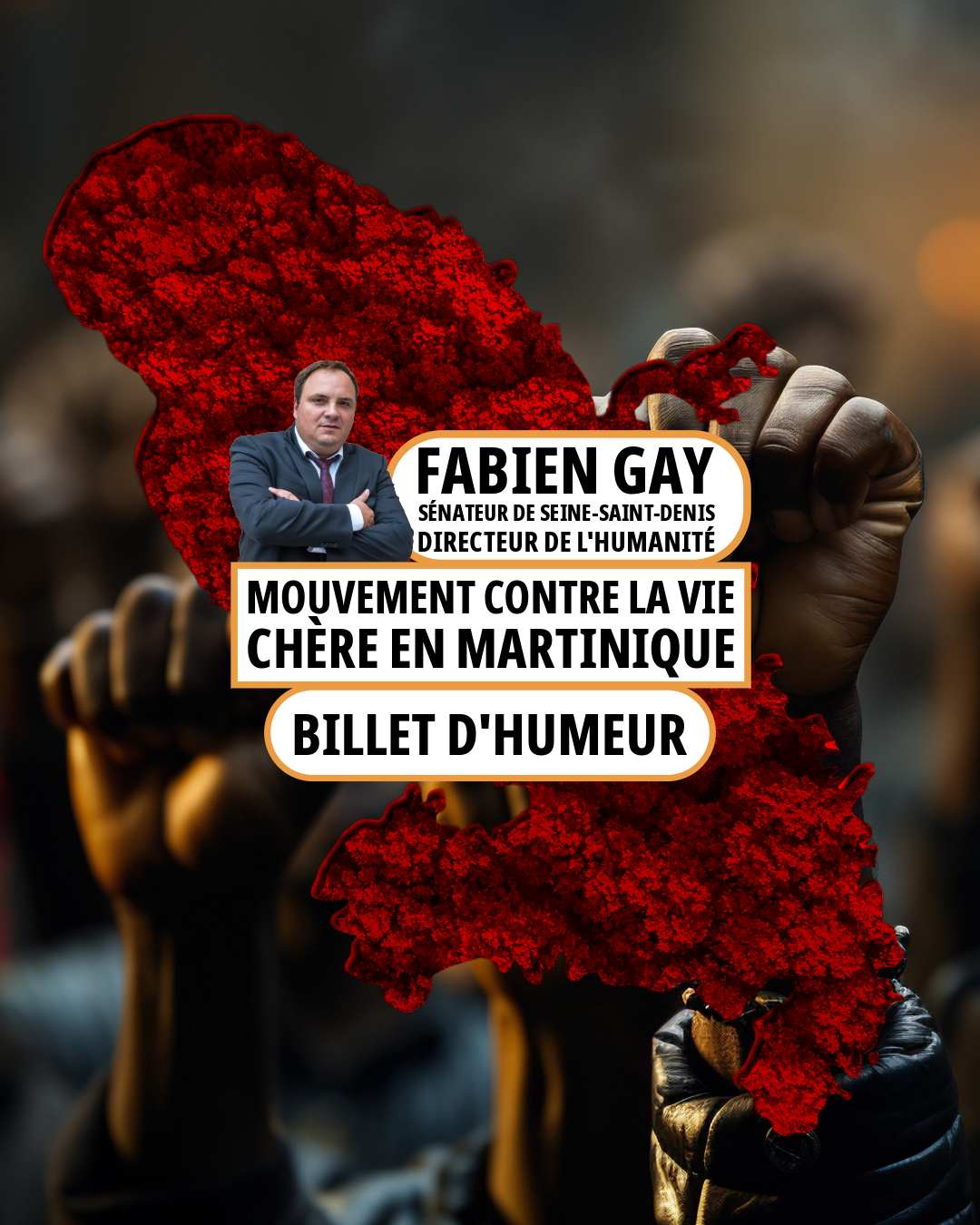 Mouvement contre la vie chère en Martinique