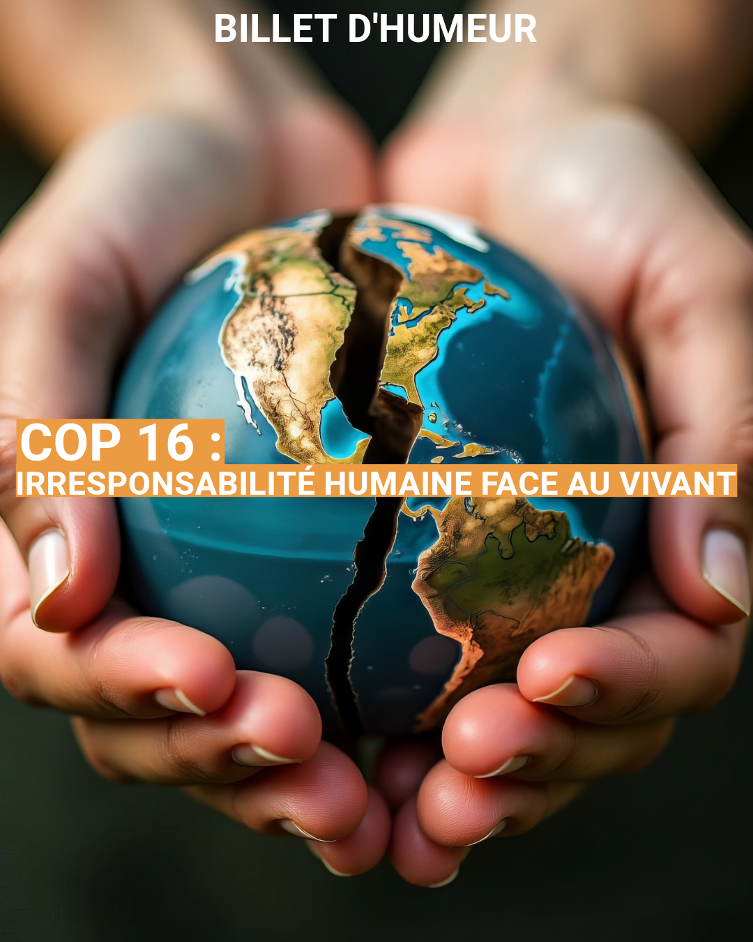COP 16 : irresponsabilité humaine face au vivant