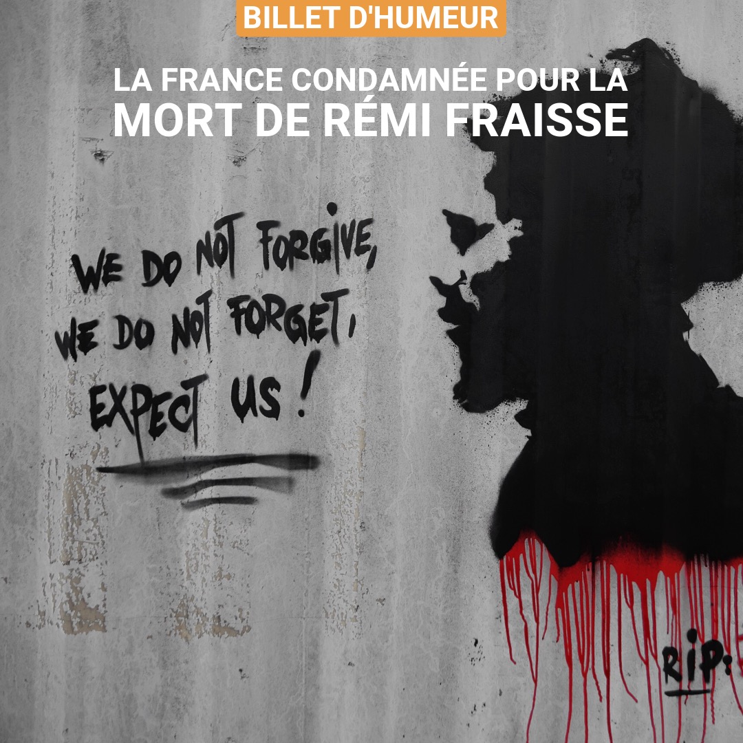 La France condamnée pour la mort de Rémi Fraisse